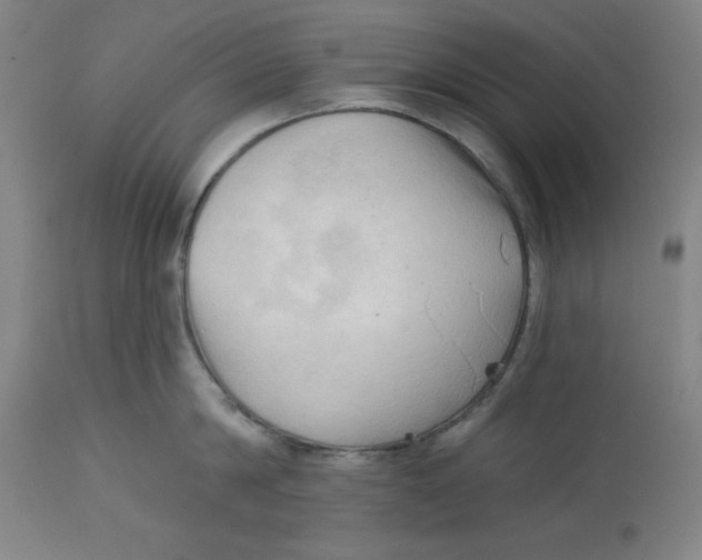 X0000113130814200909251238