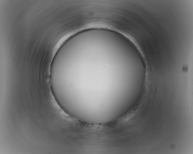 X0000113130815200909251238