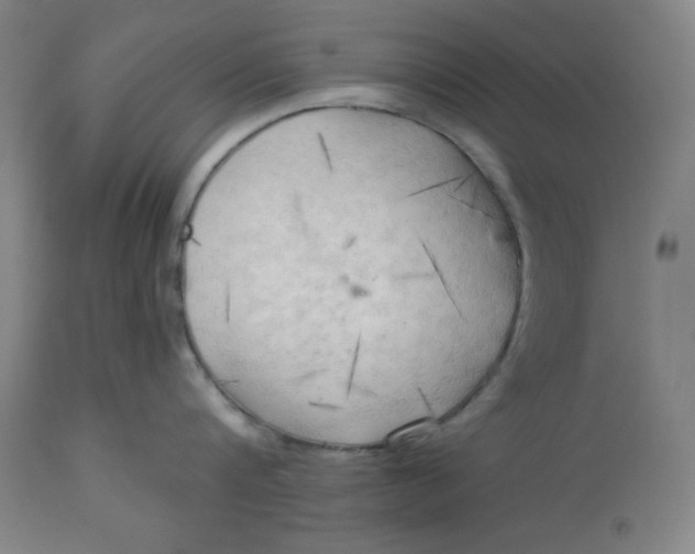 X0000113130816200909251238