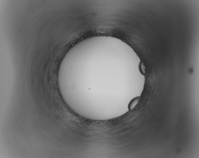 X0000113130817200909251237