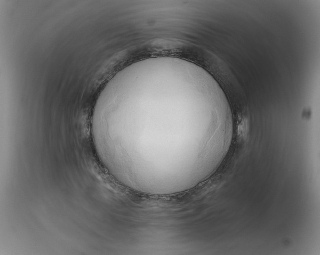 X0000113130819200909251237