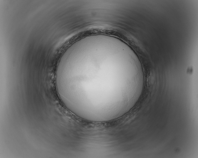 X0000113130822200909251237