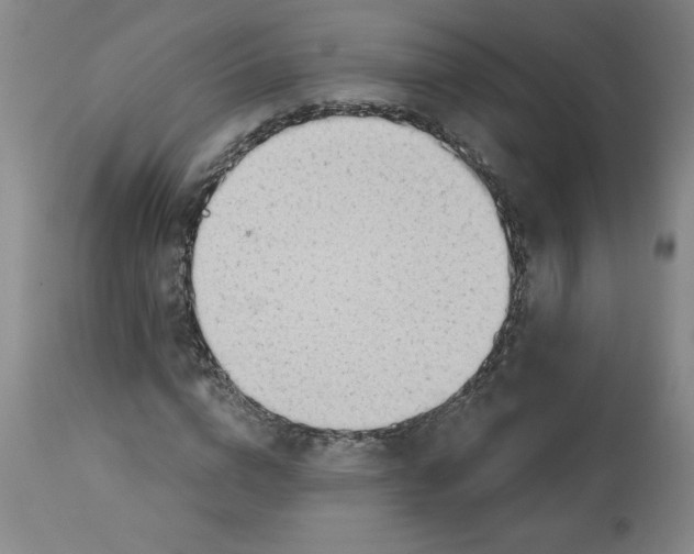 X0000113130824200909251237