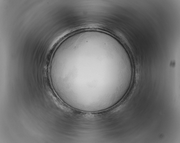 X0000113130827200909251237