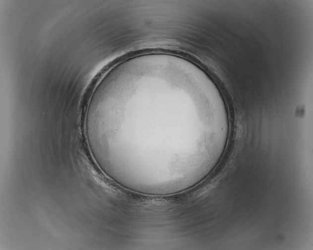 X0000113130830200909251237