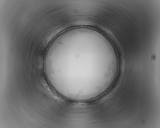 X0000113130833200909251237