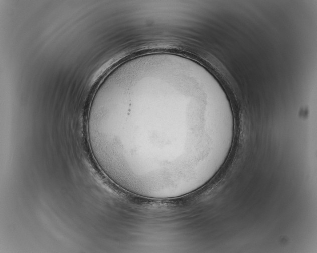 X0000113130834200909251237