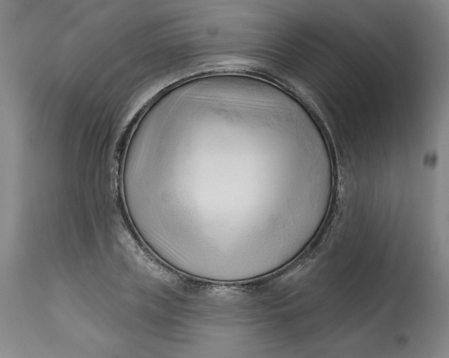 X0000113130835200909251237