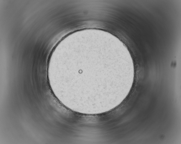 X0000113130836200909251237