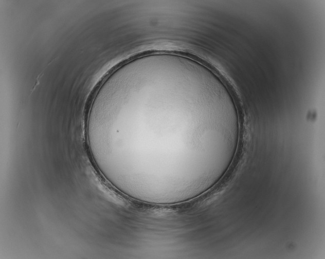 X0000113130837200909251237