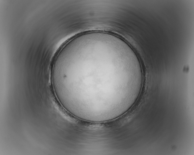 X0000113130838200909251237