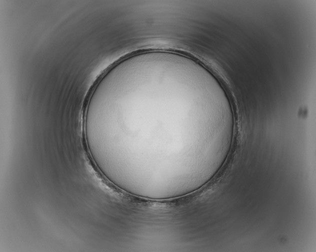 X0000113130839200909251237