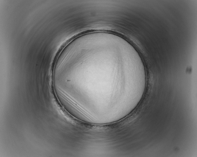 X0000113130840200909251237