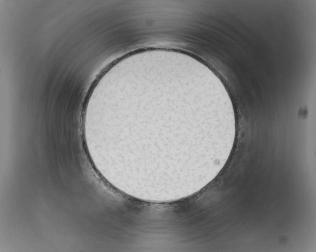 X0000113130848200909251238