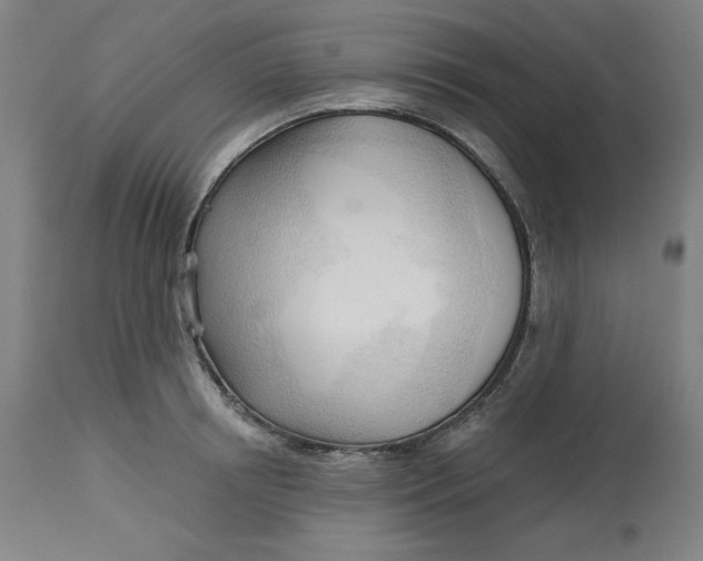 X0000113130850200909251238