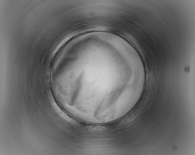 X0000113130851200909251238