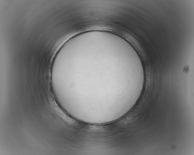 X0000113130852200909251238