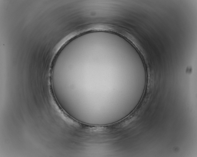 X0000113130853200909251238