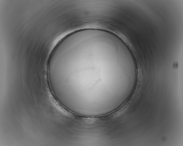 X0000113130854200909251238