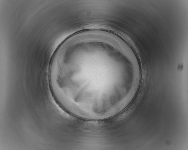 X0000113130855200909251238