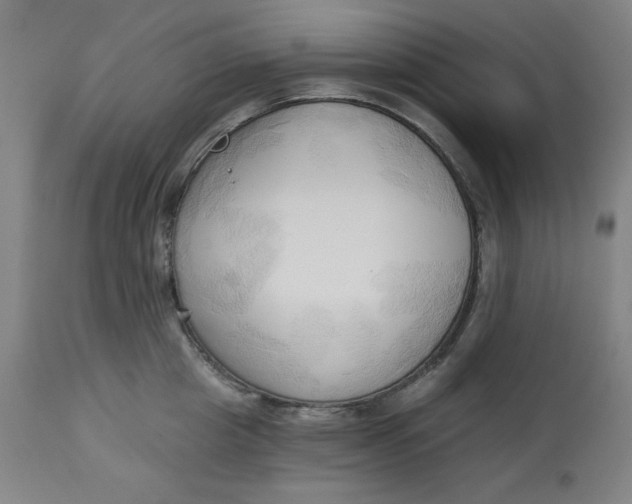 X0000113130857200909251238