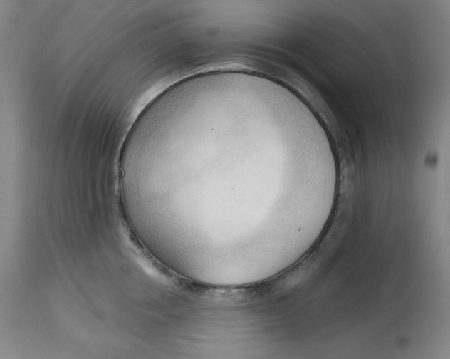 X0000113130858200909251238