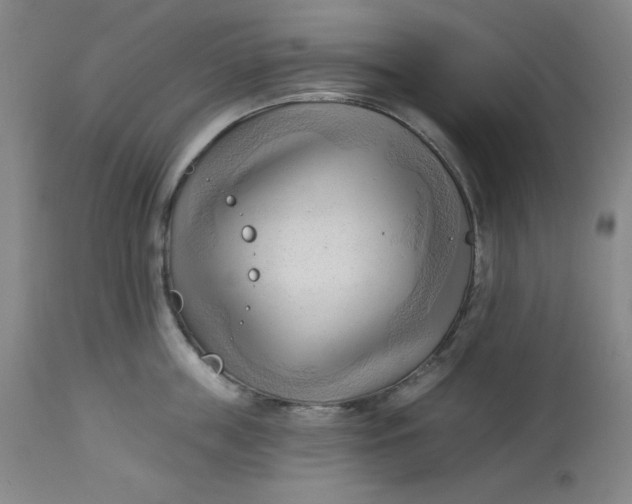 X0000113130859200909251238