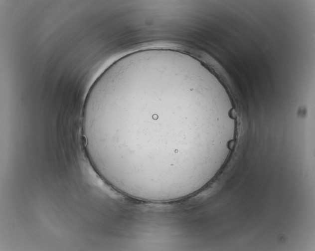 X0000113130860200909251238