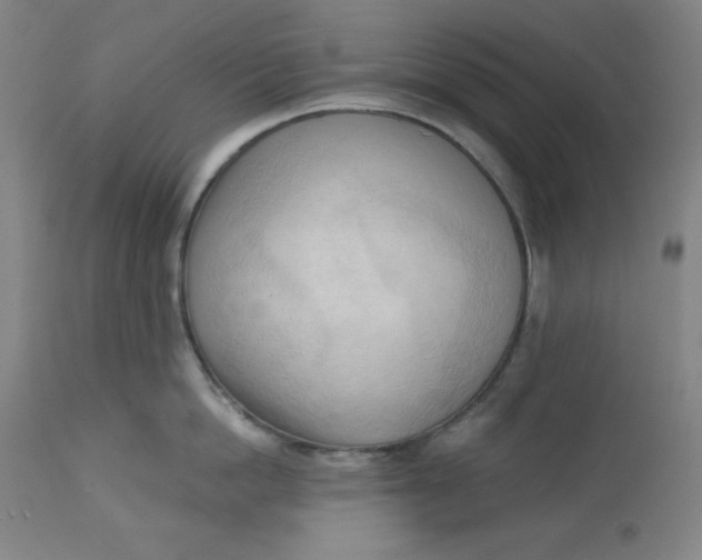 X0000113130862200909251238