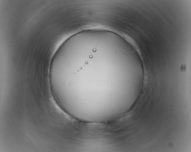 X0000113130863200909251238