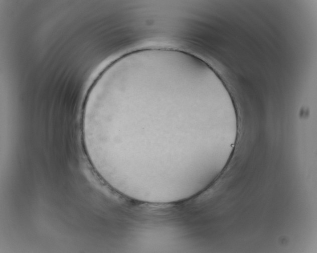 X0000113130864200909251238