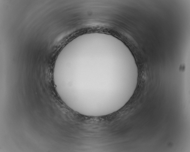 X0000113130869200909251237