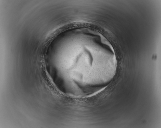 X0000113130870200909251237