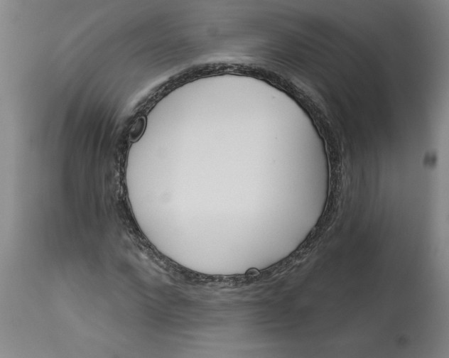 X0000113130872200909251237