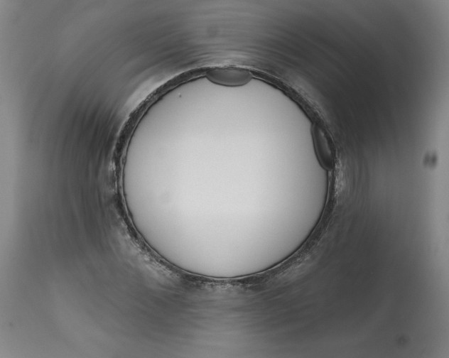 X0000113130876200909251237