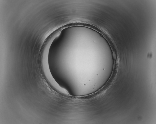 X0000113130877200909251237