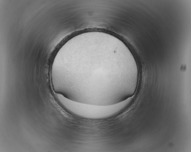 X0000113130878200909251237