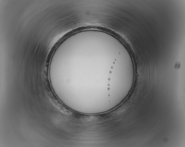 X0000113130879200909251237