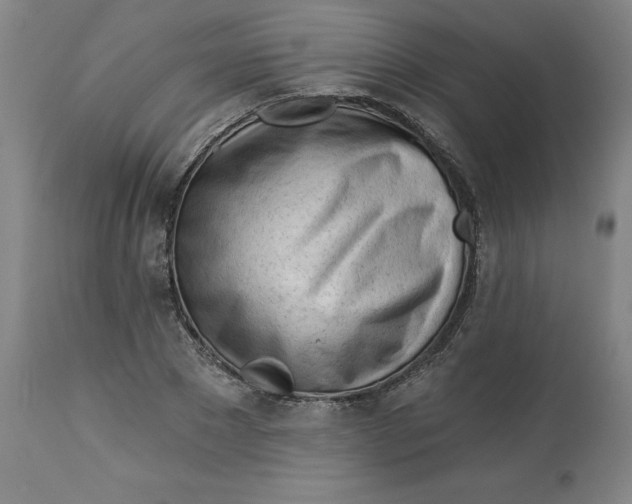 X0000113130881200909251237