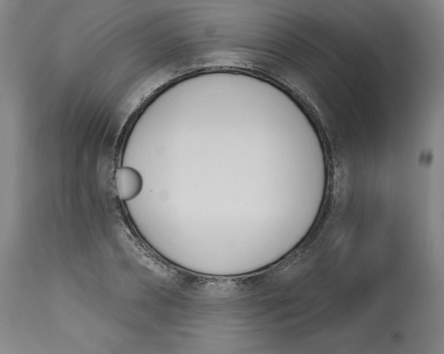 X0000113130882200909251237