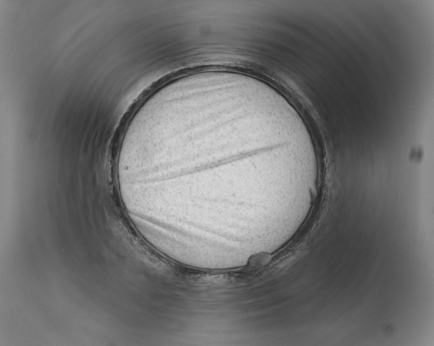 X0000113130883200909251237