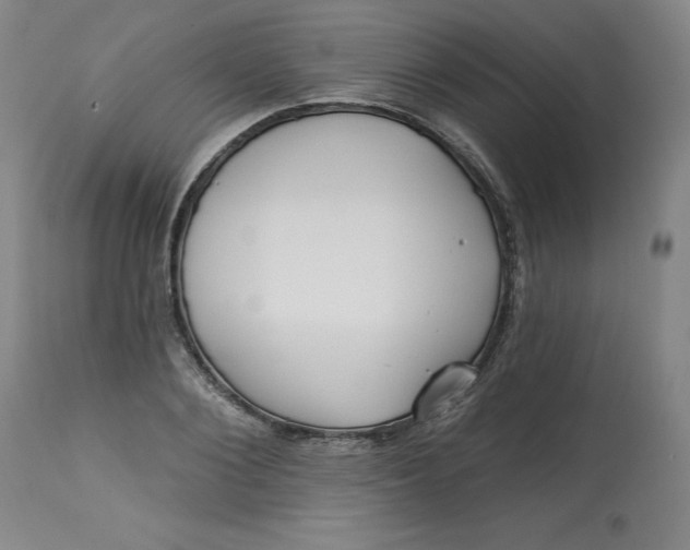 X0000113130884200909251237