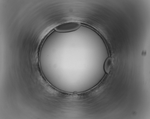 X0000113130885200909251237