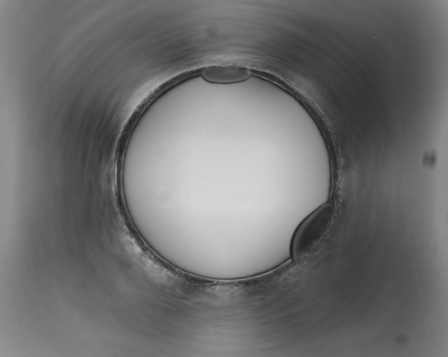 X0000113130888200909251237