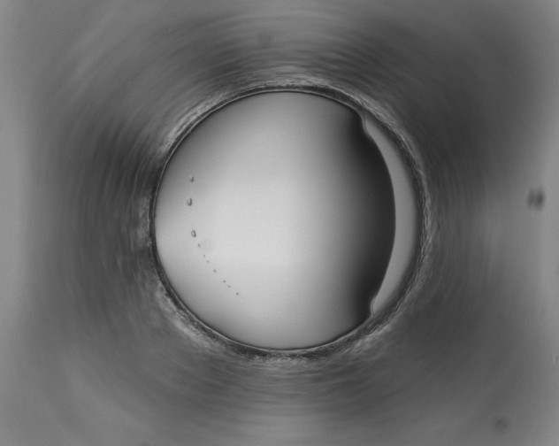 X0000113130889200909251237