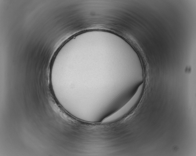 X0000113130892200909251237