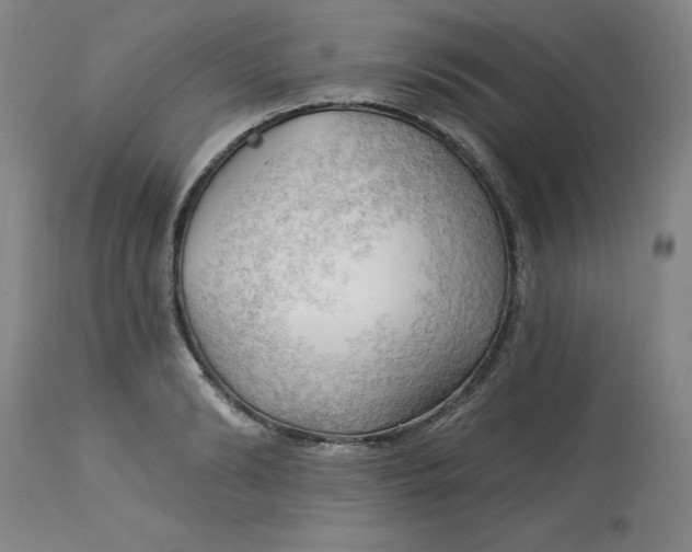 X0000113130894200909251237