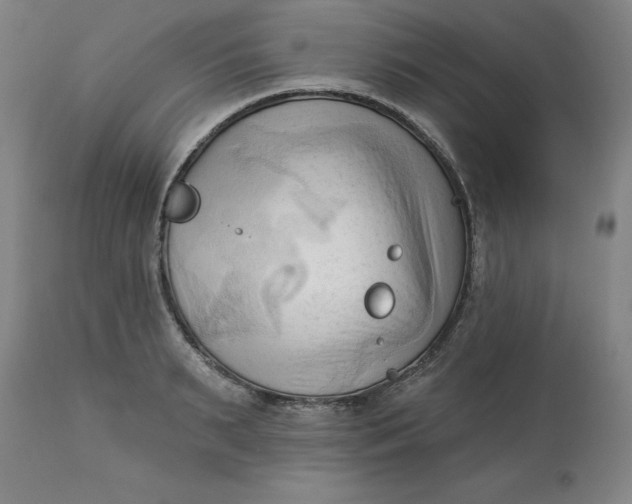 X0000113130895200909251237