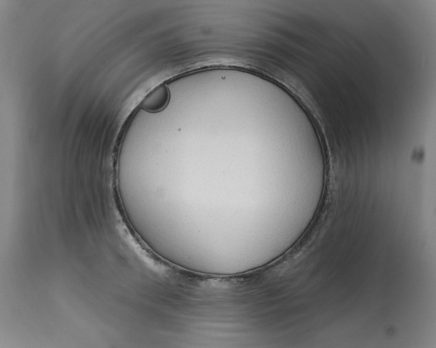 X0000113130898200909251237