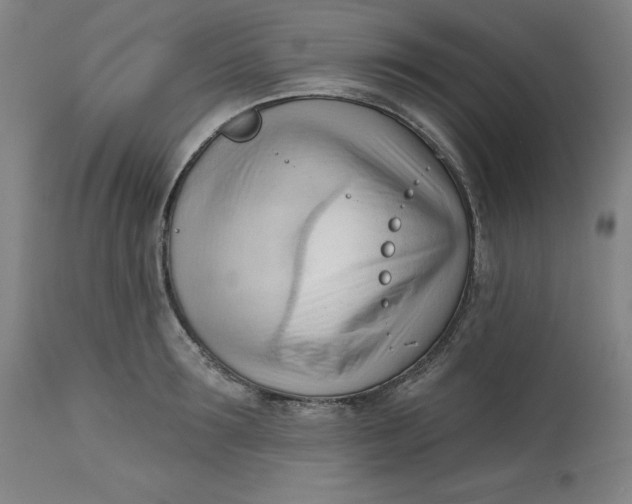 X0000113130899200909251237